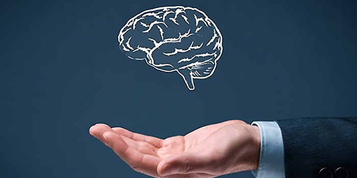Intellectual property Intellectual property
